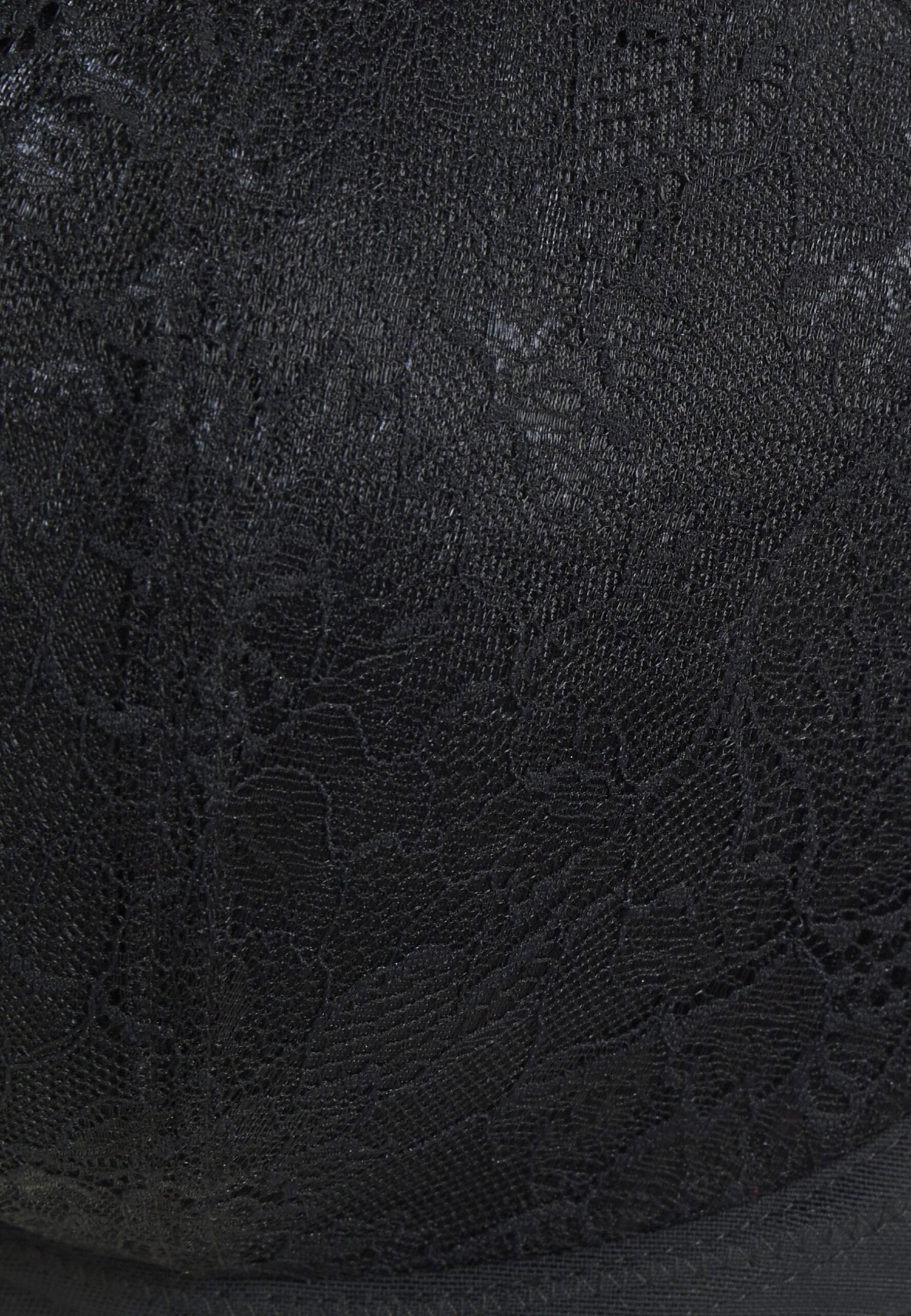 ELOMI BriannaReggiseno Push-UpBlack Donna Intimo E0781A00Q-Q11 8 ELOMI BriannaReggiseno Push-UpBlack Donna Intimo E0781A00Q-Q11 - immagine 6